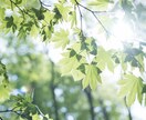 もっと自分らしくもっと自由に生きるサポートをします お話を聞いて、もっとあなたらしく輝くお手伝いをします。 イメージ2