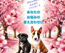 YES / NO・2択・3択をシンプルに占います ⭐︎恋・仕事・何でもOK⭐︎選択肢に迷った時は是非！3件まで イメージ1