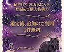即日鑑定｜彼の気持ちをタロットで読み解きます 本音・現状・今後の流れを丁寧に鑑定します。 イメージ4