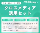 リリース原稿作成、SNS投稿文章作成を代行します 食品・外食専門｜猫の手も借りたいときのクロスメディア戦術 イメージ1