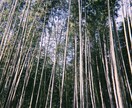楽しい時間の提供をします どんなに些細なことでも、逆に大きなことでも全て聞きます！！！ イメージ1