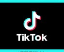 Tiktokのコメントを200件増やします ☆安心の60日保証☆動画が回るコメントを集客します！ イメージ2