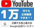 グーグル正規代理店がYoutube広告の代行します 【6万円クーポン付き】日本国内の質の高い視聴者へPR配信 イメージ2