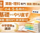 中学受験新演習算数・理科をオンラインで教えます 教わるではなく、自ら考えるための学習方法習得 イメージ1