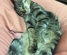 なんでもききます 知り合いには言えない、相談できない、そんな諸々を聞きます イメージ2