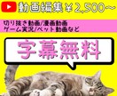 字幕10分まで付け放題！動画編集代行します フル字幕無料で動画編集します♪︎♪︎ イメージ1