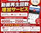 YouTube再生回数+4000回増やします 嬉しい60日長期間の減少時補填保証付き！ イメージ7