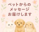 写真鑑定♡ペットの気持ち読み取ります “今の気持ち・願い・あなたへの想い” を丁寧に読み取ります。 イメージ1