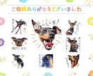 スマホ写真ＯＫ♪フォトLINEスタンプ作成します フォルダに眠っているお写真を変身！プレゼントにもオススメです イメージ8