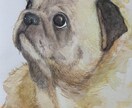 水彩画お描きします 似顔絵、ペット、お花、食べ物など イメージ1