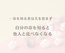 四柱推命で貴方の適職・キャリアプランを鑑定します 日本人の肌に馴染む東洋占いをお試しください イメージ6
