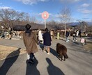 国内旅行のプランを立てます 安く！楽しく！最高の思い出をつくりましょう！ イメージ4
