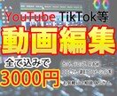 YouTube、TikTok等の動画編集を行います 長期的なご依頼もお引き受け致します！ イメージ1