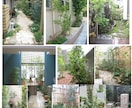 お庭づくりやお困りごとにプロがお答えします 植物の手入れから庭づくりまで、お庭の悩みを気軽に相談 イメージ4