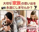 ワンちゃんへのオリジナルソング付き動画を作成します ペットロスへ悩んでいる方向けにあの子の動画を作成します イメージ3