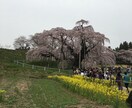 気をつかわなくていい相手だと話しやすくなります １千人以上の悩み事をきいてきた経験があなたの癒しとなります イメージ7