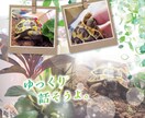 きっと笑顔で電話を切れます 共に成長して行きましょう!何でもお聴かせ下さい! イメージ3