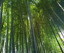 気分転換にお話します 1人寂しい、つらい、暇でだらだらしちゃう切り替え時などに！ イメージ6