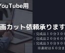 YouTube用動画カット承ります 動画カット依頼受付中！素材データ６０分まで！ イメージ2