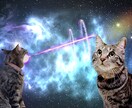 オリジナルの宇宙猫(犬・鳥etc)を作ります 宇宙をバックにしたあの画像、あなたのご家族で作りませんか？ イメージ1