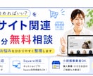 ECサイト関連　３０分無料相談をお引き受けします ネット販売のお悩みを分かりやすく整理します イメージ1