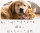 ペットロスの悲しみに寄り添います 悲しみや後悔も安心してお話しください イメージ2