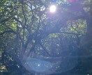 どんな悩みでもききます 自分が様々体験、体感した事からお伝えできればとおもいます！ イメージ2