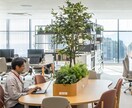 職場でどう評価されてる？どう思われてる？鑑定します ★職場運★人間関係上昇★霊感霊視タロット★ヒーリング★ イメージ8