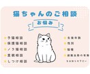 野良猫の保護や子猫の育て方などのご相談受けます 子猫9匹、成猫20匹以上保護してきた経験からお話しします！ イメージ1