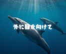 50代からの女性「自立と再出発」を応援します 離婚・仕事・生活・これからの選択を一緒に整理します イメージ6