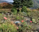 1分でもOK 秘密の❤️お話聴きます 共感します。肯定します。安心して何でも話して下さいね。 イメージ2
