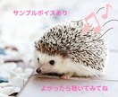 50代から始まる私の人生！全力応援いたします 人間関係＊恋愛＊更年期＊不安✻孤独…心を支える電話相談 イメージ2