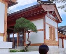 独学2年TOPIK6級！韓国語勉強をお手伝いします 韓国語初心者～勉強中の方もまずはお気軽にご相談ください！ イメージ2