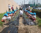 某テレビ番組の監修者が家庭菜園の悩みお答えします 家庭菜園で何から始めようか迷っている、失敗した事がある貴方へ イメージ3