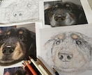 愛犬・愛猫を色鉛筆またはデジタルでリアルに描きます ペットとの思い出をあったかい似顔絵でお手元に イメージ2