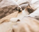 話してスッキリ！⭐️眠くなるまで一緒にお喋りします なんとなく眠れぬ夜に。なんでも話して✨安眠ヒーリング付き✨ イメージ2