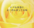 頑張ってる あなたのこと 優しく 褒めちゃいます 自己肯定感アップ 人間関係 仕事 失敗 夫婦関係 恋愛 イメージ3