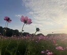 あなたの心に寄り添います 誰にも言えない悩みやモヤモヤ吐き出してみませんか？ イメージ3