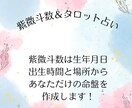 あなたの生まれてきた今世の目的をお伝えします •人生の目的•課題を知り生きやすくなる紫微斗数&タロット占い イメージ2