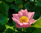 大天使のエネルギーで7つのチャクラを開きます オーラの活性化の第一歩、チャクラオープニング イメージ1