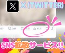X⭐️インプレッション⭐️拡散で増やします ♦️旧Twitter(IMP)♦️振分OK・10万回増加❗️ イメージ2