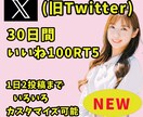 X30日間「いいね100+RT5」します 1日２投稿まで日本人一般アカウントからいいねがきます イメージ1