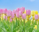 自分から見たら【大きな悩み事】に心から寄り添います 人から見たら大したことなくても悩んでることってありますよね… イメージ6