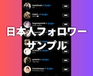 インスタの日本人フォロワーを100人〜増やします 【最安】Instagramの日本人100人増加ほぼ減少なし イメージ3