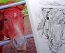 写実的な鉛筆画を描きます 鉛筆画の線が見えるタッチの鉛筆画を制作します イメージ1