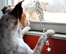 あなたのこころに優しく寄り添う人がここにいます ただ話したい！ただ聞いてほしい！そんなあなたを受け入れます イメージ3