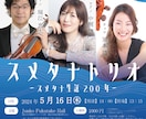 コンサート・イベントのチラシ、デザインします 現役イベント企画制作部勤務のデザイナーがご提案！ イメージ5