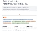 外資IT採用責任者が英文レジュメを添削します ⭐️先着５名限定価格  特に外資IT ポストセールス職向け イメージ6