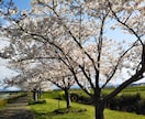 発達障害親子で心理士師の私が発達相談お聴きします 子供から成人期までの発達障害をもつ親のアドバイスを致します。 イメージ1