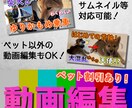 ペット割引あり／動画編集します 愛犬家のテレビディレクターが熱血編集！！ イメージ3